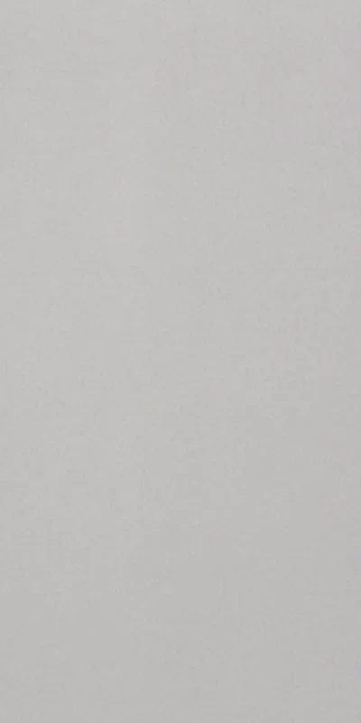Architecture Cool Grey - Gres Effetto Resina 60x120 Rettificato