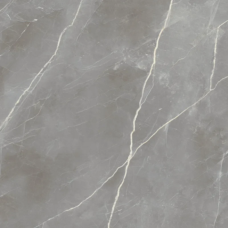 Elegance Silver Matt - Gres Effetto Marmo Opaco 120x120 - Image 2