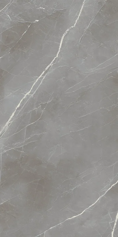 Elegance Silver Matt - Gres Effetto Marmo Opaco 60x120