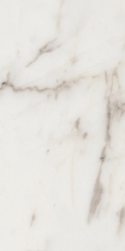 Elements Lux Calacatta - Gres effetto marmo levigato 60x120 rettificato - Image 5
