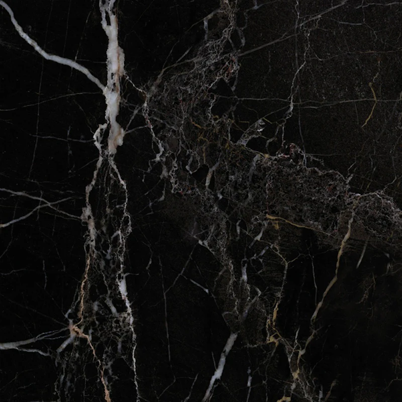 Elements Lux Port Laurent - Gres effetto marmo levigato 60x60 rettificato - Image 2