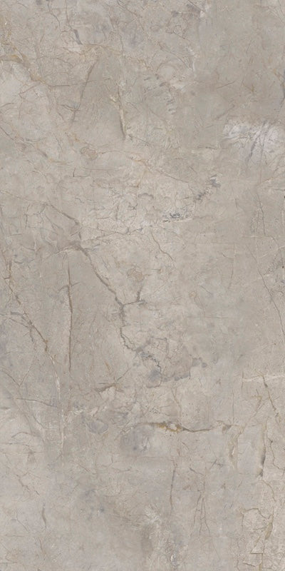 Elements Lux Silver Grey - Gres effetto marmo opaco 60x120 rettificato