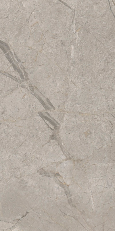 Elements Lux Silver Grey - Gres effetto marmo opaco 60x120 rettificato - Image 4