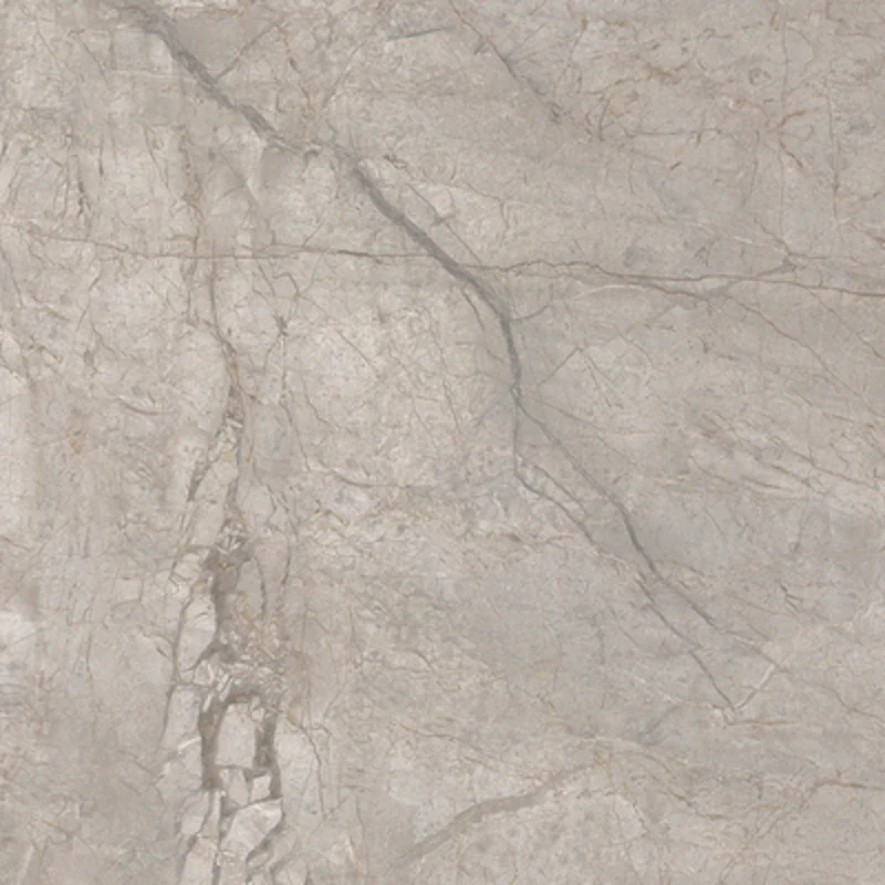 Elements Lux Silver Grey - Gres effetto marmo opaco 60x60 rettificato - Image 3