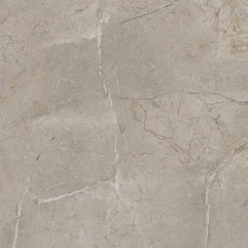 Elements Lux Silver Grey - Gres effetto marmo opaco 60x60 rettificato - Image 4