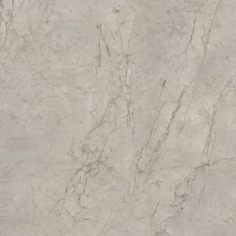 Elements Lux Silver Grey - Gres effetto marmo vellutato 120x120 rettificato - Image 3