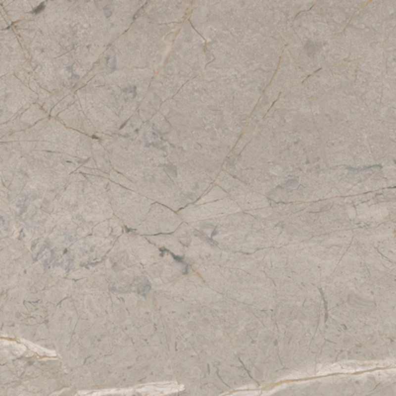 Elements Lux Silver Grey - Gres effetto marmo vellutato 120x120 rettificato - Image 4