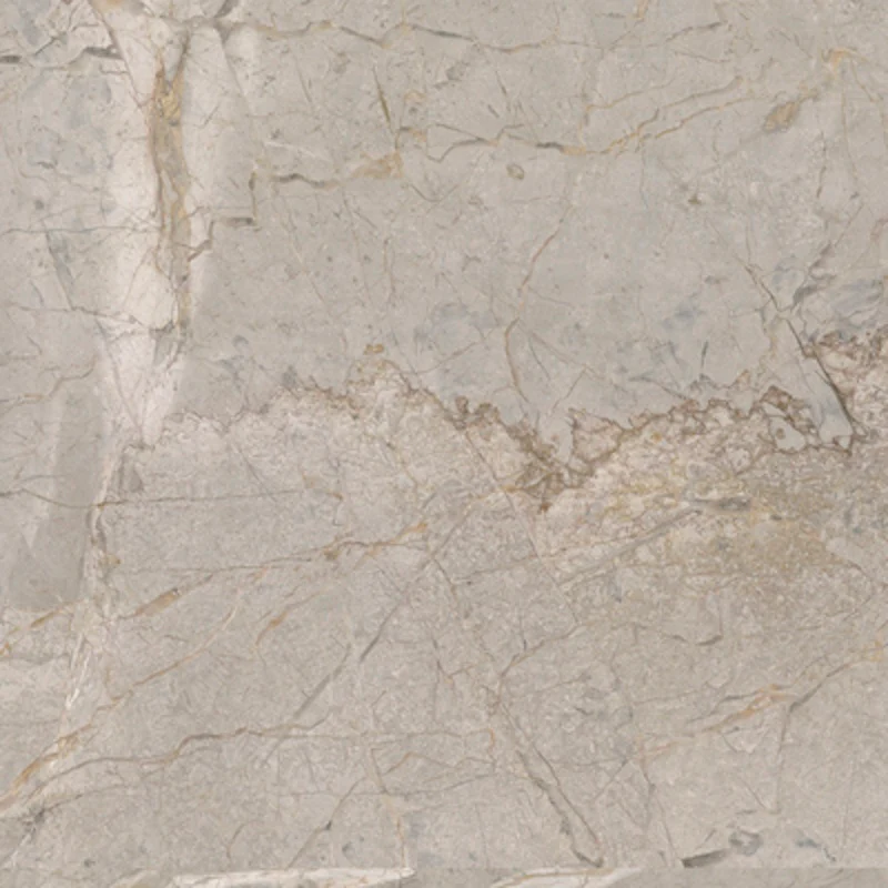 Elements Lux Silver Grey - Gres effetto marmo vellutato 120x120 rettificato - Image 5