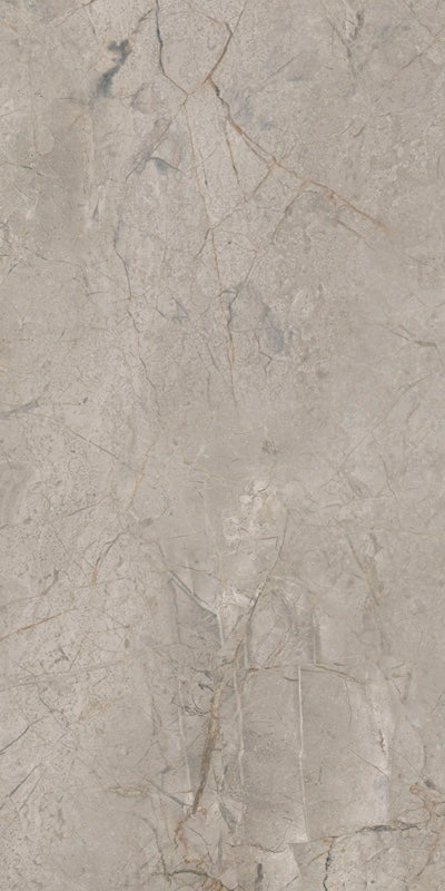 Elements Lux Silver Grey - Gres effetto marmo vellutato 60x120 rettificato - Image 3