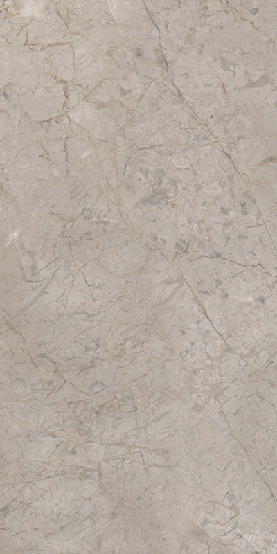Elements Lux Silver Grey - Gres effetto marmo vellutato 60x120 rettificato - Image 5