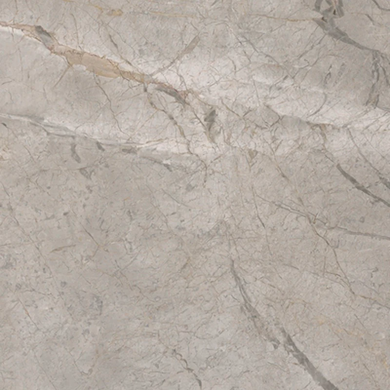 Elements Lux Silver Grey - Gres effetto marmo vellutato 60x60 rettificato - Image 2