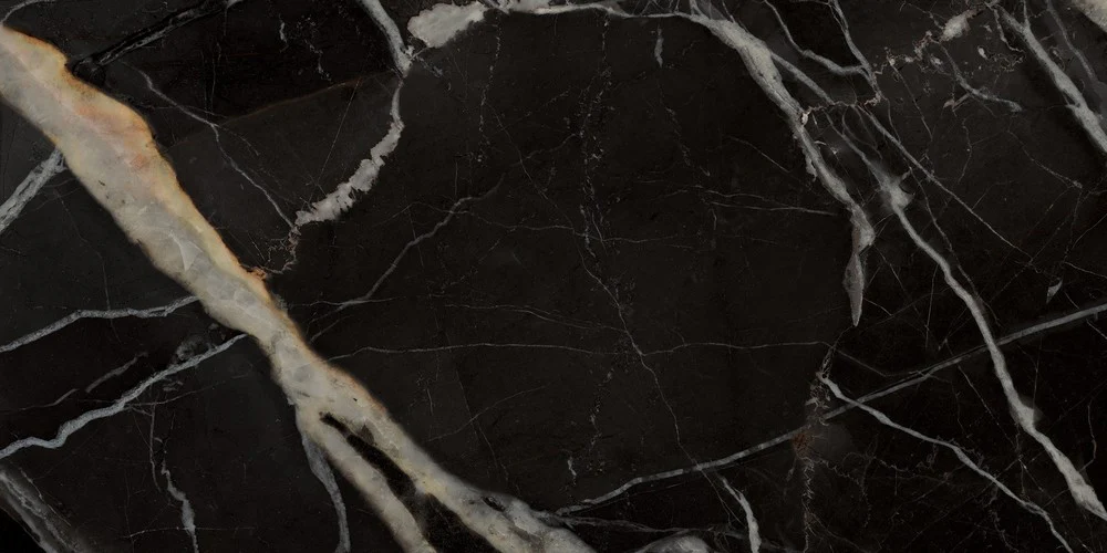 Golden Carbon Lux - Gres Porcellanato Effetto Marmo lucido 60x120 - Image 4