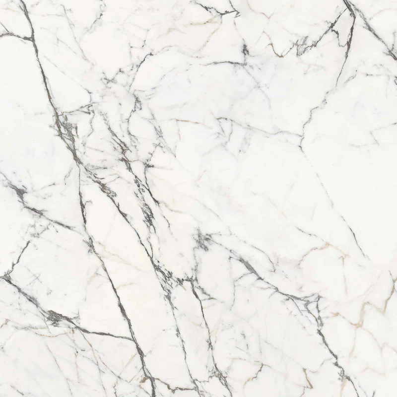 La Marmoteca Statuario Spider Soft3D - Gres Porcellanato Effetto Marmo Opaco 120x120 - Image 4