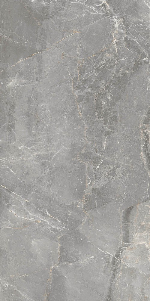 Marmi Pregiati Soveraia Silver - Gres Porcellanato Effetto Marmo Lucido 60x120 Levigato - Image 5