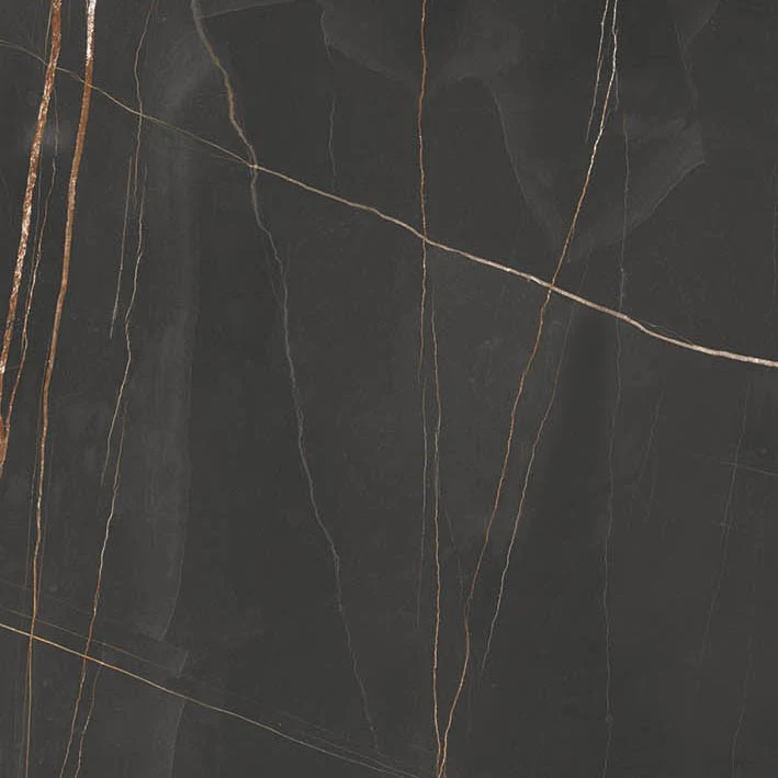 Marmi Pregiati Sahara Noir - Gres Porcellanato Effetto Marmo Lucido 60x60 Levigato - Image 3