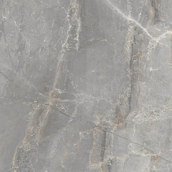Marmi Pregiati Soveraia Silver - Gres Porcellanato Effetto Marmo Lucido 60x60 Levigato - Image 6