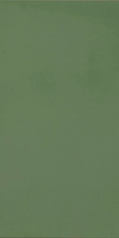 R-Evolution Green - Gres Effetto Cemento 60x120 Rettificato - Image 2