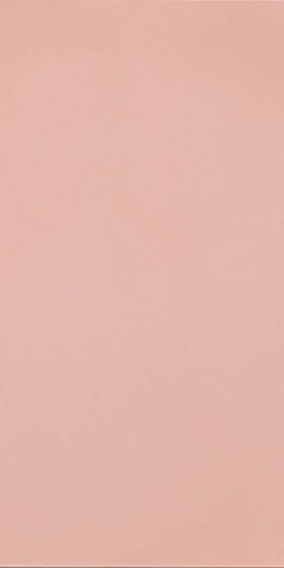 R-Evolution Light Pink - Gres Effetto Cemento 60x120 Rettificato