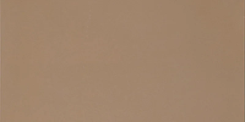 R-Evolution Terra - Gres Effetto Cemento 30x60 Rettificato