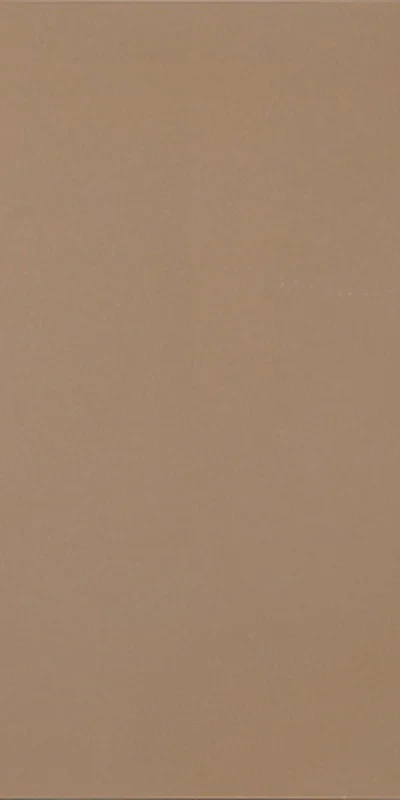 R-Evolution Terra - Gres Effetto Cemento 60x120 Rettificato