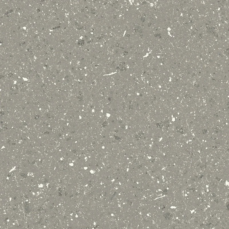 Terrasale Cenere - Gres Effetto Graniglia Opaca 20x20