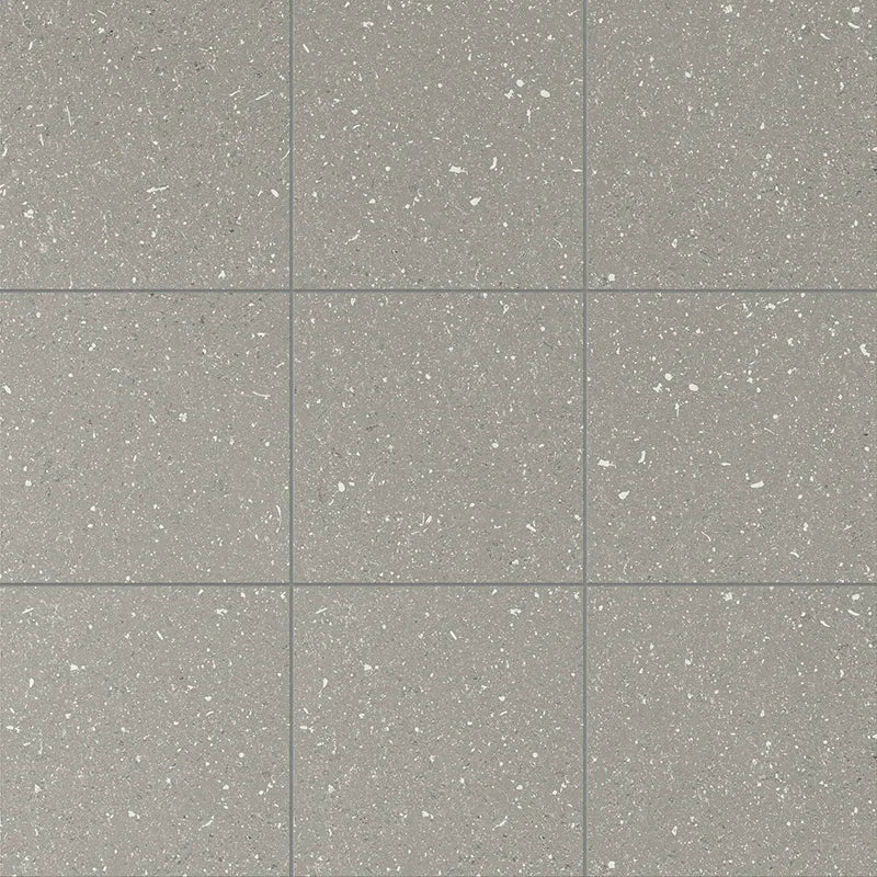 Terrasale Cenere - Gres Effetto Graniglia Opaca 20x20 - Image 2