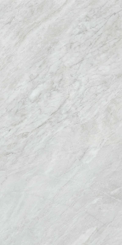 Versilia Bardiglio Silver - Gres Effetto Marmo Opaco 60x120 Rettificato