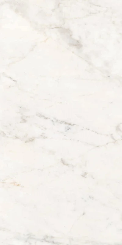Versilia Michelangelo White - Gres Effetto Marmo Opaco 60x120 Rettificato